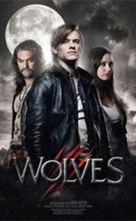 Wolves 1080p Full HD izle