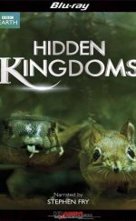 Gizli Krallık – Hidden Kingdoms 1080p Full HD Belgesel izle