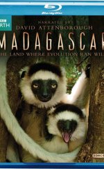 BBC Madagascar 3 Bölüm 720p Bluray Belgesel izle