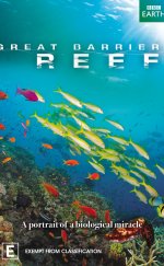 Great Barrier Reef | Büyük Bariyer Resifi 1080p Bluray Türkçe Dublaj Belgesel