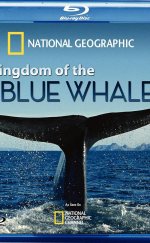 Kingdom of the Blue Whale 720p Bluray Türkçe Dublaj Belgesel