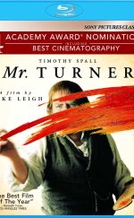 Bay Turner Mr. Turner 2014 1080p BluRay Türkçe Dublaj izle
