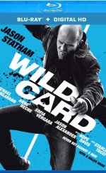 Wild Card Türkçe Dublaj izle