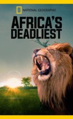 National Geographic Africa’s Deadliest 1080p izle