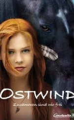 Ostwind –  Kasırga izle 2013 Full