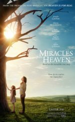 Miracles from Heaven 2016 Full 1080p izle