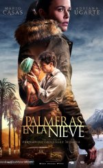 Palmeras en la Nieve – Kardaki Palmiyeler 2015 1080p izle