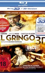 El Gringo Yabancı 3D 1080p izle