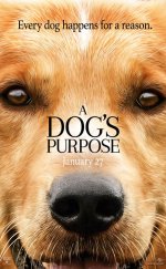 A Dogs Purpose – Can Dostum izle Altyazılı 2017