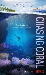 Chasing Coral – Mercan Peşinde 1080p izle 2017