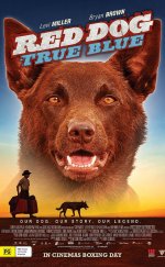 Red Dog True Blue 1080p izle 2016