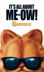 Garfield Türkçe Dublaj izle 1080p 2004