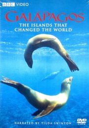 BBC – Galápagos 3 Bölüm 720p Bluray Türkçe Dublaj Belgesel