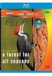 Dört Mevsim Ormanı – A Forest For All 1080p Bluray Belgesel