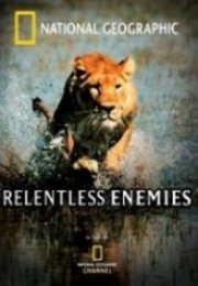 Relentless Enemies – Amansız Düşmanlar Belgesel 720p Belgesel