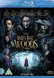 Sihirli Orman Into The Woods 2014 1080p Anamorphic Siyah Bantsız Bluray Türkçe Altyazı izle