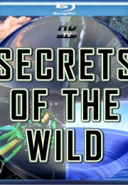 National Geographic Secrets of the Wild 1080p izle