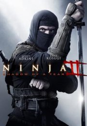 Ninja Shadow of a Tear – Ninja II Gözyaşını Gölgesi 1080p Bluray Full HD izle