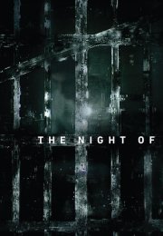 The Night Of izle – Tüm Sezonlar 1080p