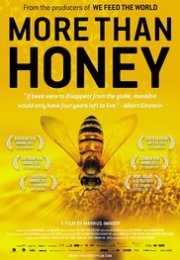 More Than Honey – Baldan Acı 2012 1080p izle
