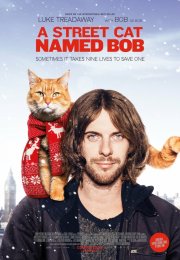 A Street Cat Named Bob – Sokak Kedisi Bob izle 2016 1080p