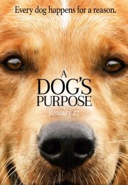 A Dogs Purpose – Can Dostum izle Altyazılı 2017